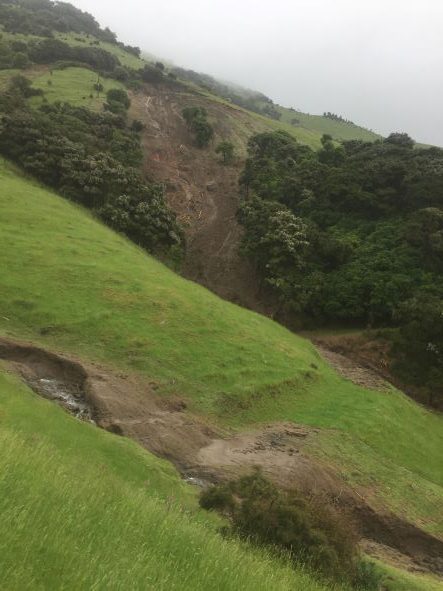 Terrible Storm damage on Banks Peninsula cutting through conservation work