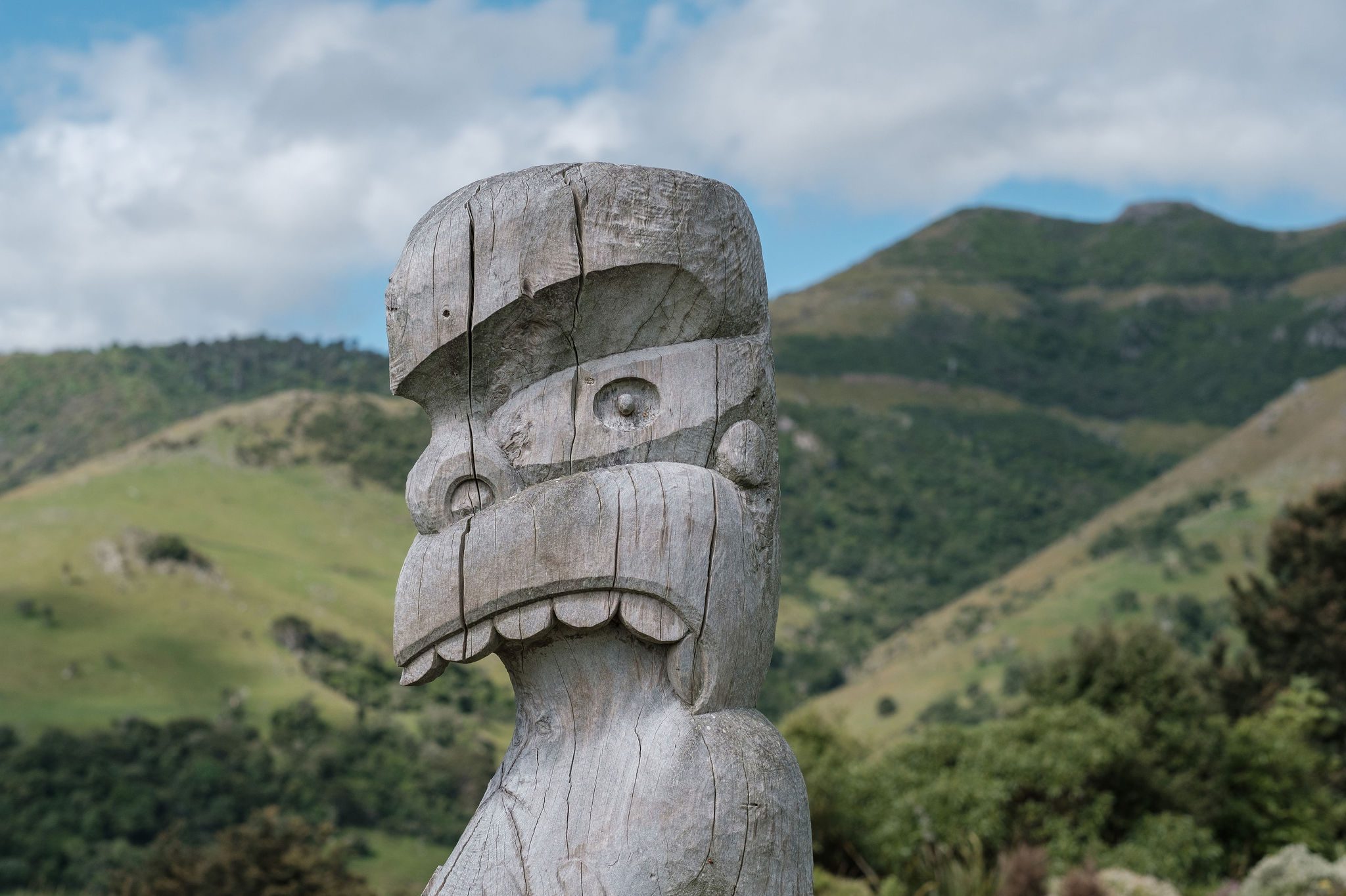 FIFA Woman’s New Zealand Culture