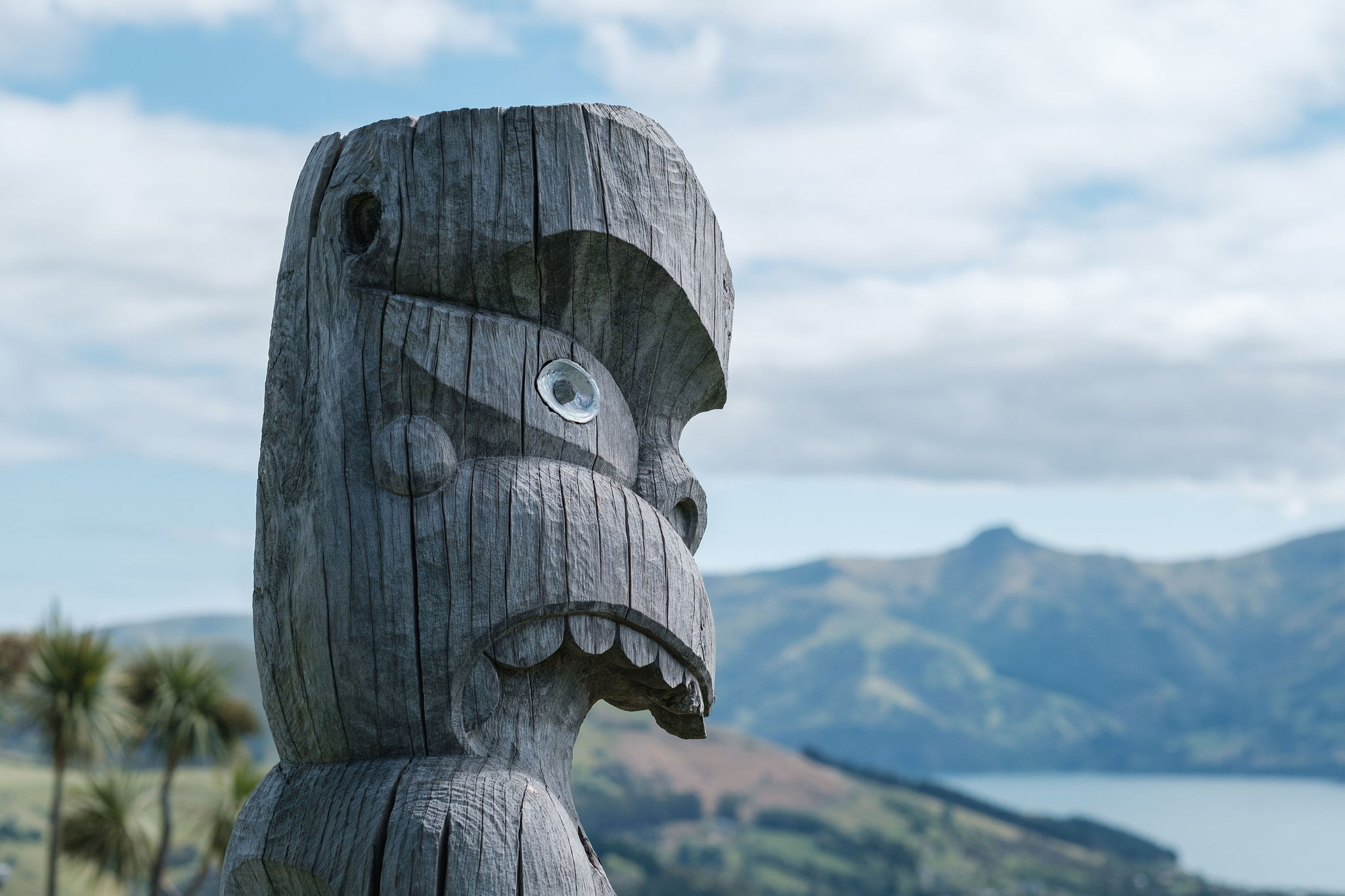 You are currently viewing Unique Bicultural Māori Tours – South Island’s Best Kept Secret!