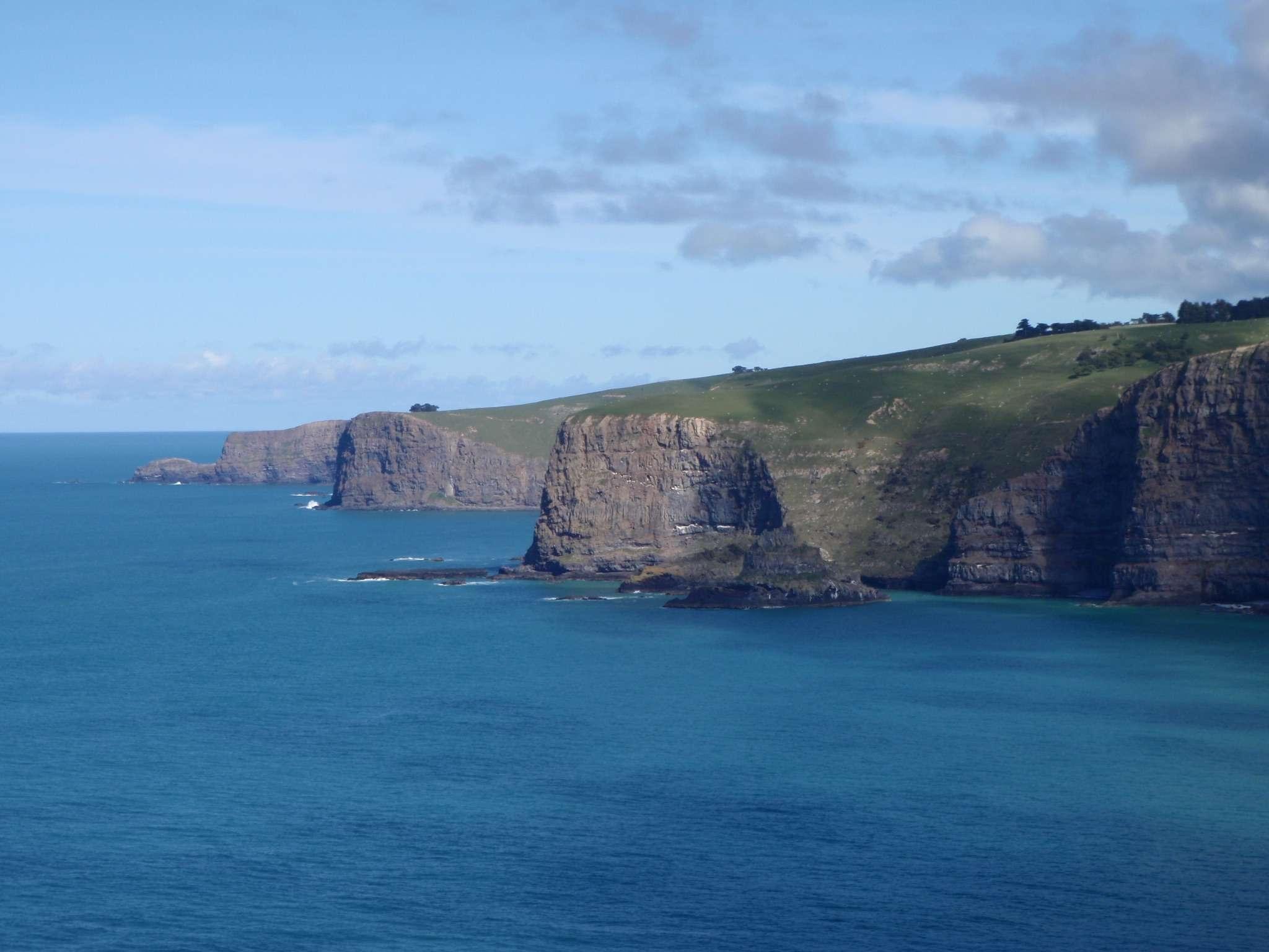 Read more about the article The Wildside Conservation Story: Where it all began.