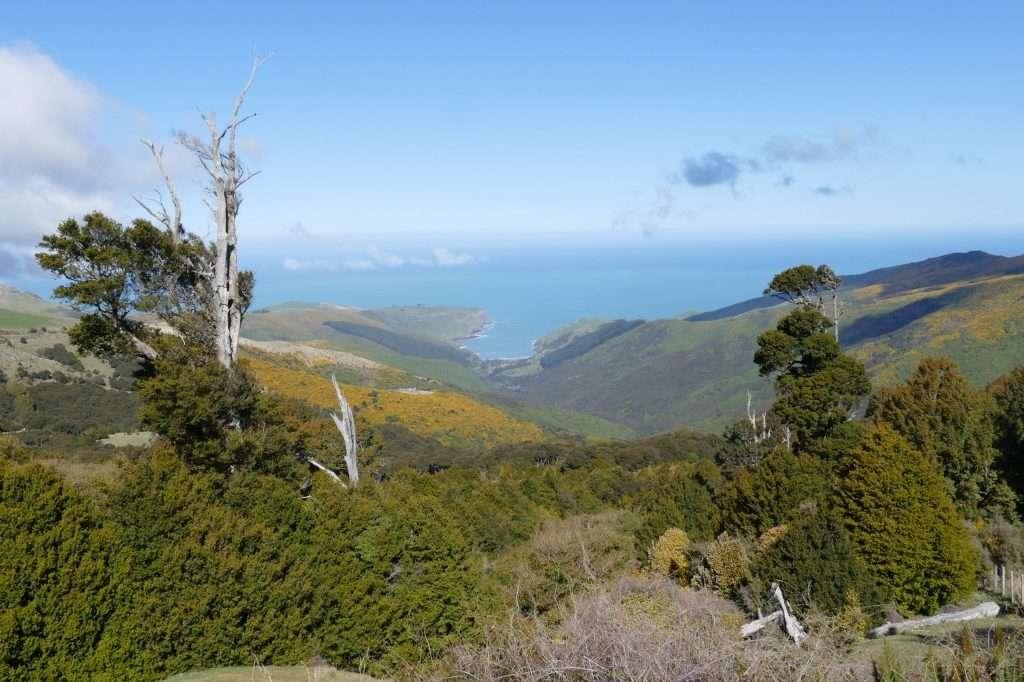 Hinewai Reserve from summit to sea ki uta ki tai