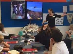 Read more about the article Sharing the magic, stories of abundance on Campbell Island, at Akaroa Area School; Akaroa Education The Seventh Generation.