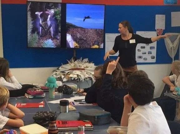 You are currently viewing Sharing the magic, stories of abundance on Campbell Island, at Akaroa Area School; Akaroa Education The Seventh Generation.