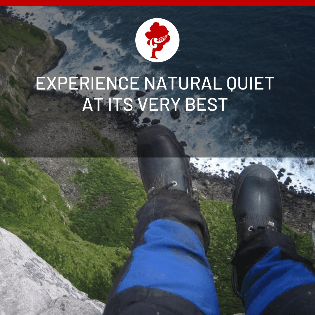 You are currently viewing The Best Natural Quiet Parks to Visit in New Zealand