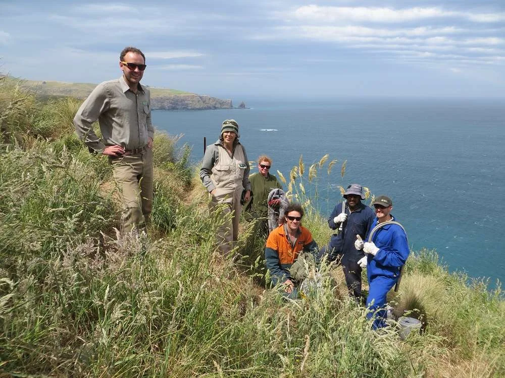 You are currently viewing The Amazing “Wildside Project” #1 on Banks Peninsula