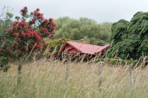 Read more about the article Takapūneke, Akaroa | The South Islands Waitangi Grounds.