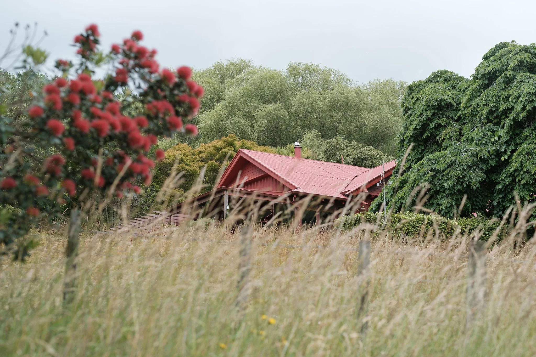 You are currently viewing Takapūneke, Akaroa | The South Islands Waitangi Grounds.