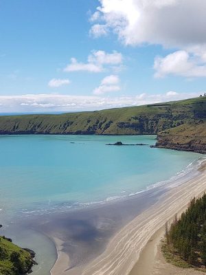 Things to do in Akaroa Okains Bay