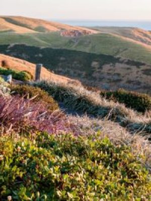 Things to do in Akaroa Fishermans Bay gardens