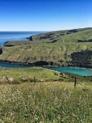 Things to do in Akaroa