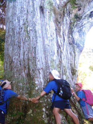 Banks Peninsula Ecological Vision for the future