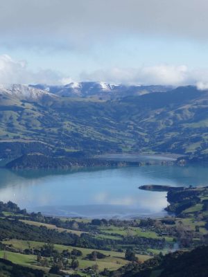 Onawe Peninsula in Akaroa Harbour