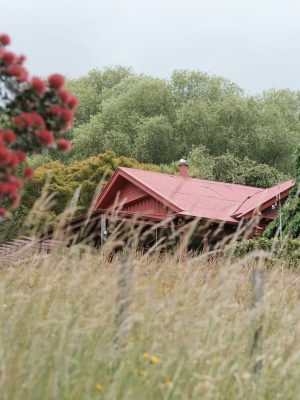 Takapuneke Red House Bay Akaroa