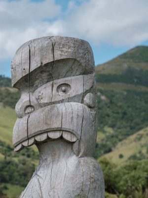 Akaroa Nature and History Tour